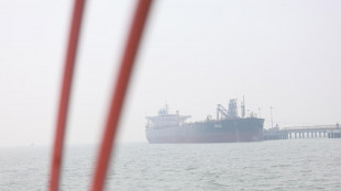 Usa autorizzano l'acquisto di petrolio russo gi&agrave; in transito