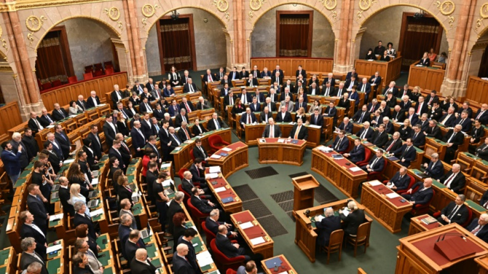 Orban und Fidesz-Abgeordnete verweigern W&uuml;rdigung Nawalnys
