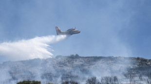Incendies: en Grèce, les pompiers restent "vigilants" et mobilisés