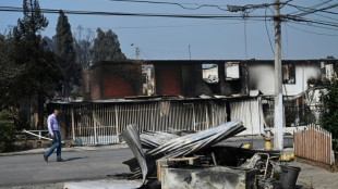 Pr&auml;sident: Mindestens 46 Tote bei Waldbr&auml;nden in Chile