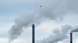 Trump tariff threat 'poison' for Germany's fragile recovery 