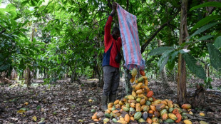 C&ocirc;te d&rsquo;Ivoire : le prix du cacao reste fix&eacute; &agrave; 1.200 francs CFA