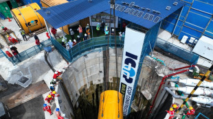 Impennata record nel 2024 per Icop, utile +267% (18 milioni)