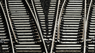 Auf Autozug mitfahrender Mann sorgt in Niedersachsen f&uuml;r Streckensperrung