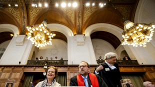 Deutschland verteidigt sich vor IGH gegen Vorwurf der  V&ouml;lkermord-Beg&uuml;nstigung