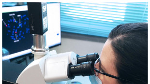 Sfuggenti cellule immunitarie una chiave dei futuri vaccini antiinfluenzali