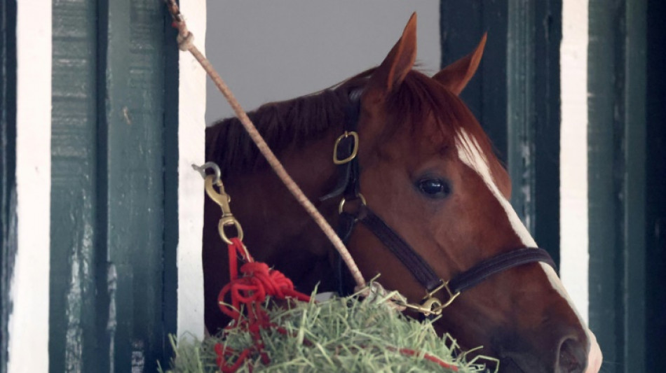 Horse safety in spotlight as Derby-winner Mage goes for Preakness