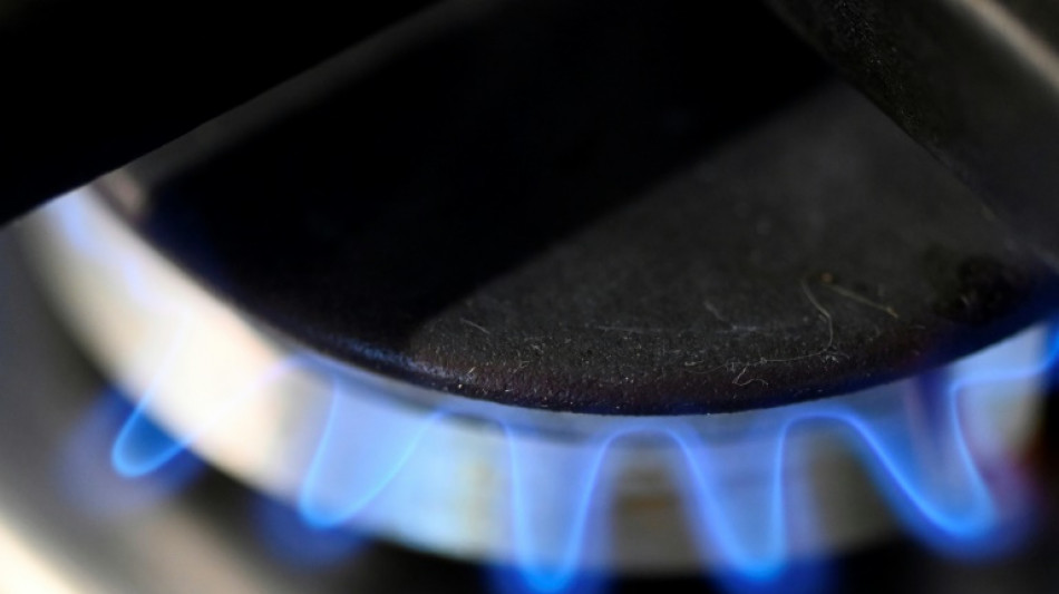 Elf Unternehmen beantragen Geld aus Gasumlage