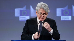 EU-Kommissar Breton h&auml;lt deutlich h&ouml;here Z&ouml;lle auf chinesische E-Autos f&uuml;r m&ouml;glich