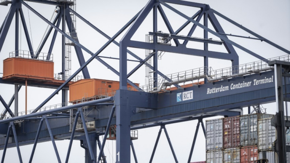 La fiebre de la coca&iacute;na, un desaf&iacute;o para el mayor puerto de Europa