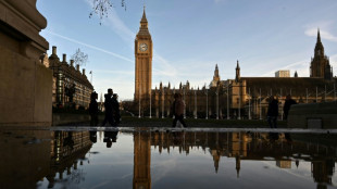 Mixed reception to UK unveiling trans-Pacific trade pact membership