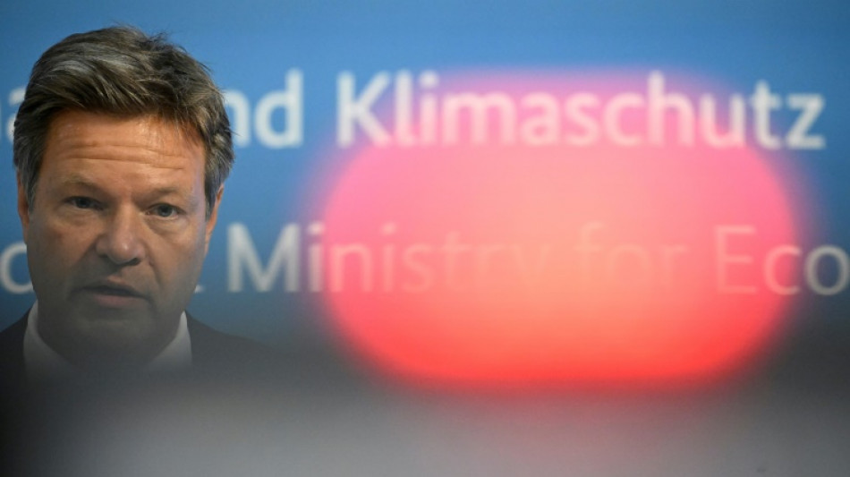 Vorsitzender von Habecks Grünen-Heimatkreisverband legt Amt aus Protest nieder