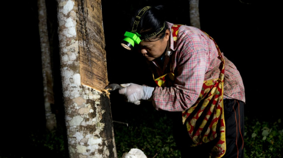 Tha&iuml;lande: la longue route vers un latex naturel vert
