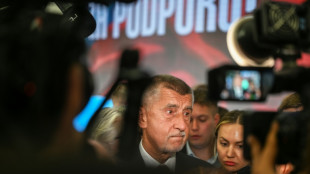 Tschechien: Rechtspopulist Babis will nach Wahlsieg Minderheitsregierung bilden