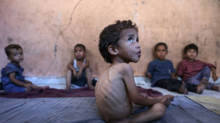 WHO chief says 'large proportion' of Gaza's people 'starving'