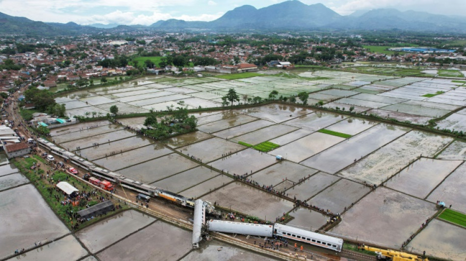 Vier Tote und viele Verletzte bei Zugungl&uuml;ck in Indonesien