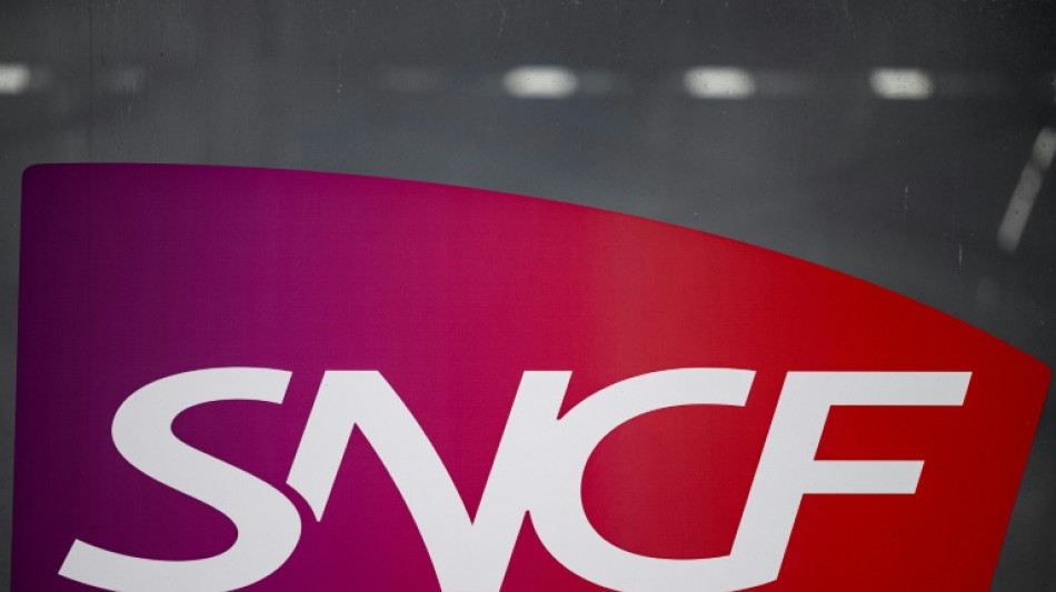 La SNCF de nouveau interpell&eacute;e apr&egrave;s la mort d'un chat sur des voies en gare de Lyon