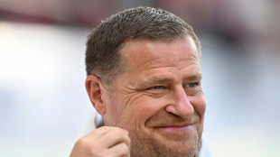 FC Bayern: Eberl bestätigt Interesse an Woltemade