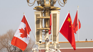 Xi, 'Cina e Canada creino un nuovo partenariato strategico'