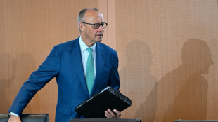 Merz: Regierung nimmt wegen hoher Spritpreise Steuern und Abgaben in den Blick