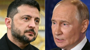 L'Ukraine prendra des "mesures de d&eacute;sescalade" si la Russie fait de m&ecirc;me, affirme Zelensky