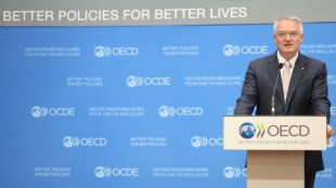 La econom&iacute;a mundial resiste en 2026, pero la incertidumbre permanece, advierte la OCDE