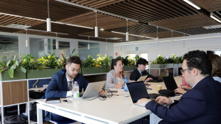 Sono oltre 1,3 milioni le assunzioni entro gennaio 2026