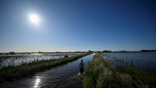Pluies records, infrastructures en jach&egrave;re: quand la pampa argentine se noie