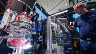 L'indice pmi composito dell'eurozona sale ai massimi degli ultimi 3 anni e mezzo