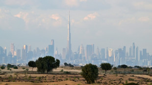 Illegale Gesch&auml;fte mit Immobilien in Dubai: Geldstrafen f&uuml;r Angeklagte in Hamburg