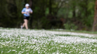 Menschen in Deutschland machen t&auml;glich halbe Stunde Sport