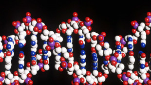 Nuovo imballaggio molecolare triplica l'efficacia della Crispr