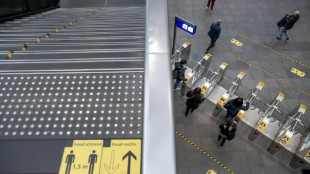 Paralizado el tr&aacute;fico ferroviario en Pa&iacute;ses Bajos por un presunto sabotaje