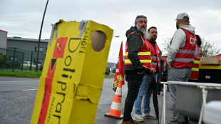 Cession du Doliprane: un rebondissement, un bras de fer et une gr&egrave;ve 
