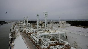 Bundestag stimmt f&uuml;r Bau von LNG-Terminal auf R&uuml;gen