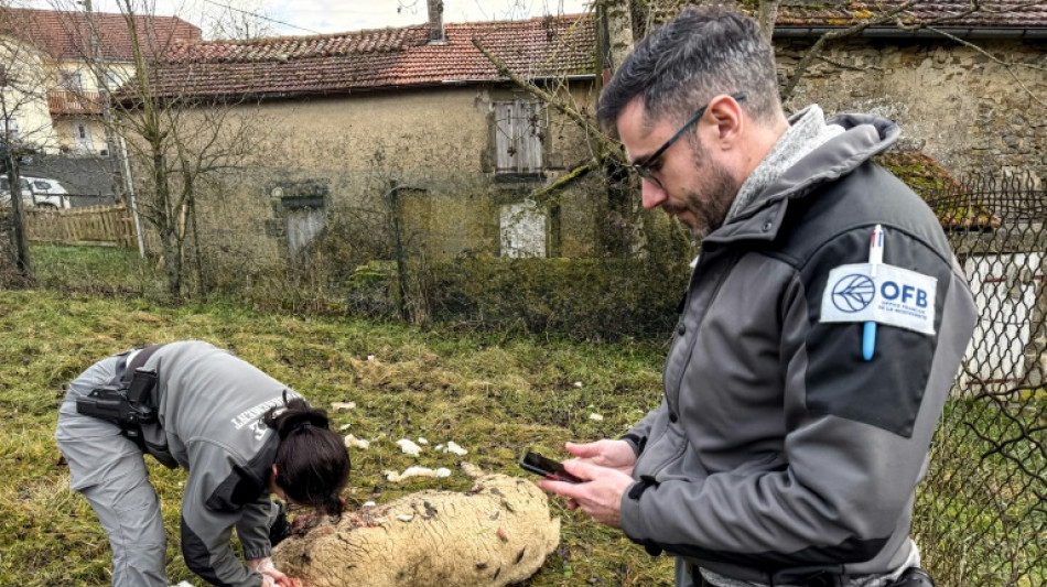 Frankreich will Abschuss von W&ouml;lfen erleichtern