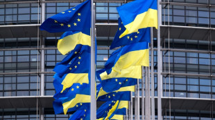 Europ&auml;er sehen "Risse" in Putins Machtgef&uuml;ge