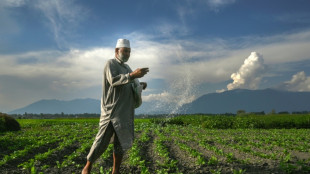 Cae la producci&oacute;n de fertilizantes en India por la guerra en Oriente Medio
