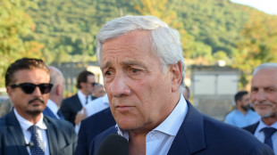 Tajani, 'nelle prossime ore il rientro in Italia del bimbo in coma in Egitto'