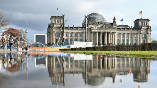 Linke klagt in Karlsruhe gegen beschr&auml;nktes Fragerecht im Bundestag