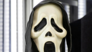 Schreie aus Wohnhaus: Horrorfilm l&ouml;st Polizeieinsatz in Kaiserslautern aus