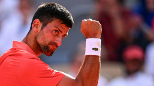 Djokovic beats cramping Alcaraz to reach French Open final