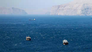 Media Iran, 'Hormuz completamente chiuso, navi costrette a tornare indietro'