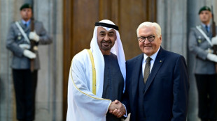 Pr&auml;sident der Emirate beginnt Staatsbesuch in Deutschland bei Steinmeier