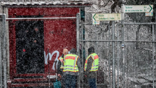 Incendio a Berlino, blackout per 45.000 appartamenti