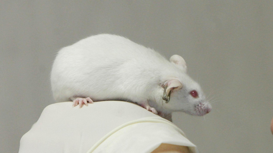 Dalla terapia genica speranze per 2 malattie neurodegenerative