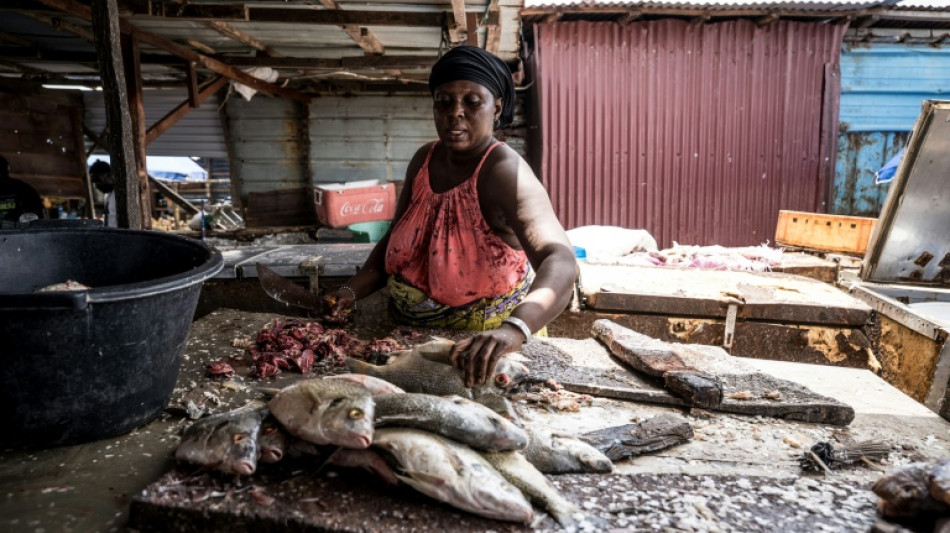 Poissons avari&eacute;s, commerces au ralenti: les Gambiens exasp&eacute;r&eacute;s par les coupures &eacute;lectriques