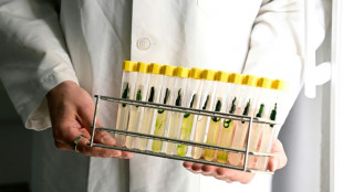 Switching on brain cells: the Nobel-winning science of optogenetics