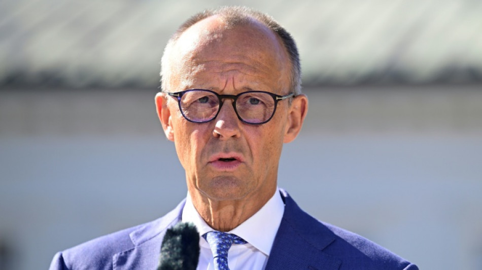 Germany's Merz addresses critics with climate action pledge