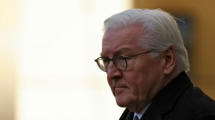 Steinmeier fordert besseren Schutz von kommunalen Amts- und Mandatstr&auml;gern
